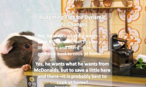 Budgeting Cook at home Personal Finance webs