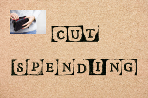 Cut Spending 
